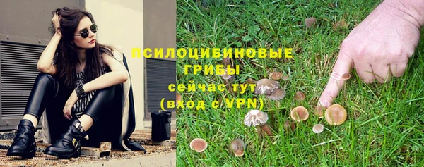 ГАЛЛЮЦИНОГЕННЫЕ ГРИБЫ Кулебаки
