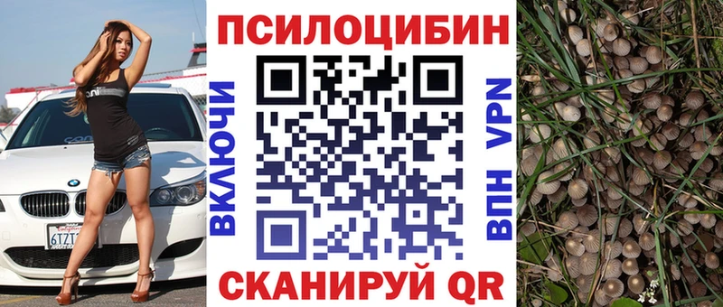 где купить наркоту  Ленинск-Кузнецкий  Галлюциногенные грибы Psilocybine cubensis 